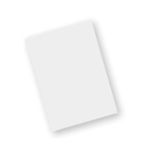 Zebra screen protector