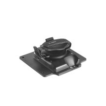 Zebra expansion back, 10''